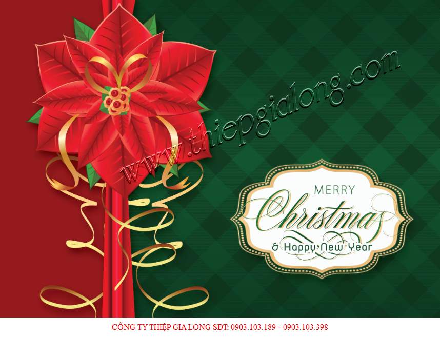 thiep-noel-GL-2463.jpg