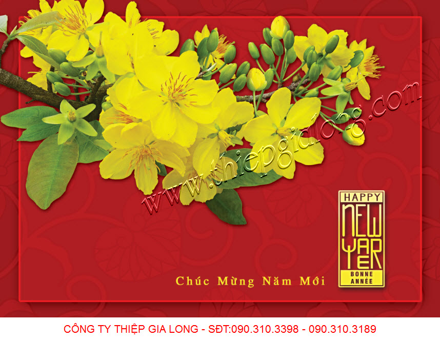 thiep-chuc-mung-nam-moi-%201695.jpg