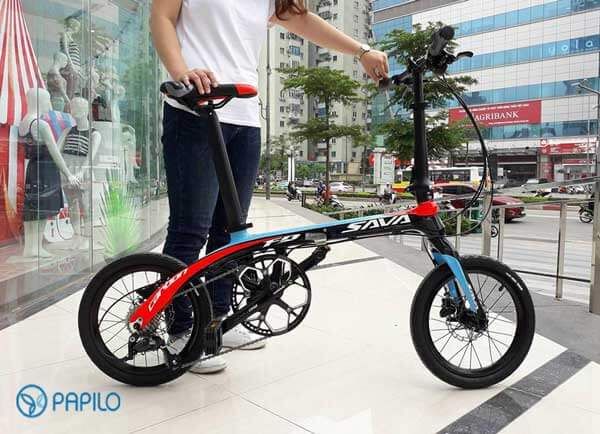 xe_dap_gap_sava_carbon__1__grande.jpg