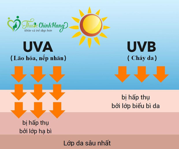 tac-hai-cua-anh-mat-troi-voi-lan-da.jpg