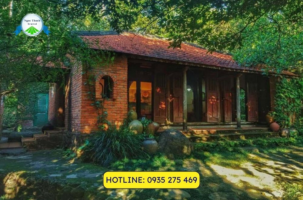 Bảo Tàng Đồng Đình Đà Nẵng: Lạc Lối Trong Khu Vườn Ký Ức Giữa Đại Ngàn Sơn Trà