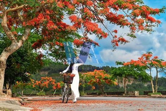 thue-xe-16-cho-ha-noi-hai-phong-3.jpg
