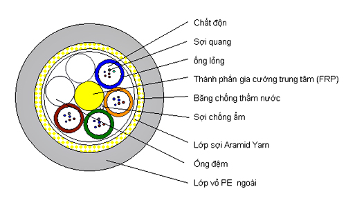 cap-quang-adss.jpg