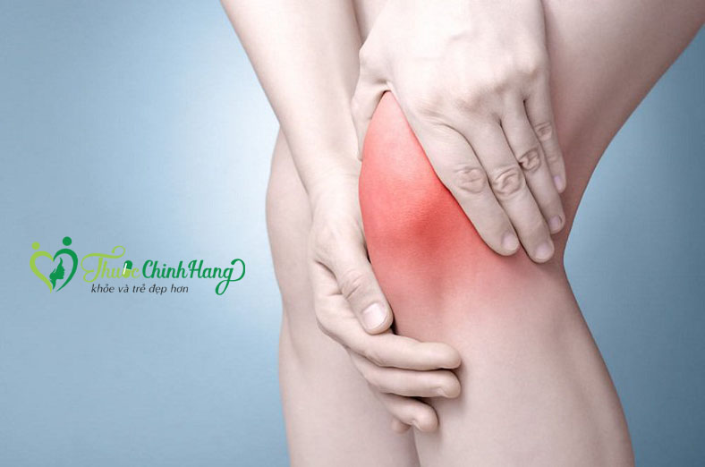 glucosamine la chat gi