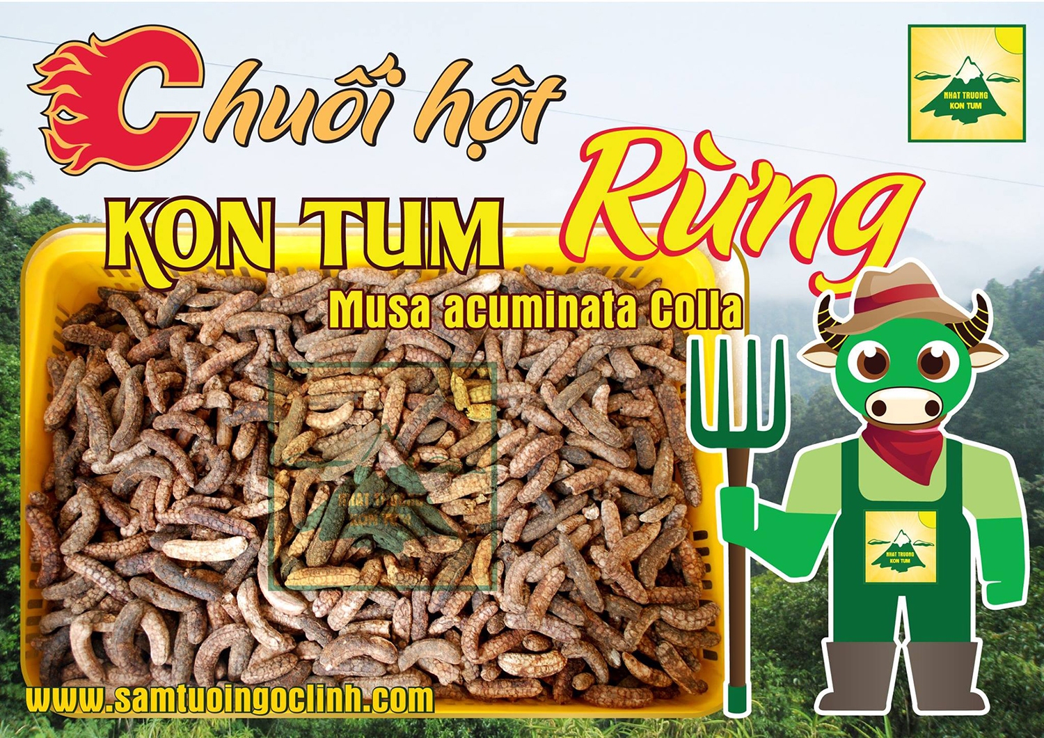 chuoi-hot-rung_3.jpg