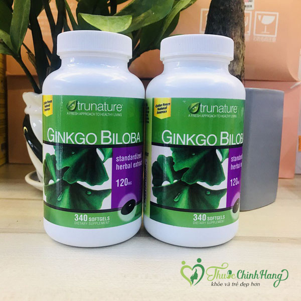Ginkgo-Biloba-co-tac-dung-gi-cho-suc-khoe.jpg