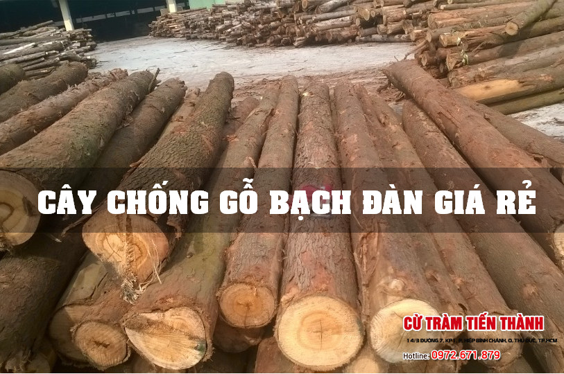 COT-CHONG-GO-BACH-DAN.jpg