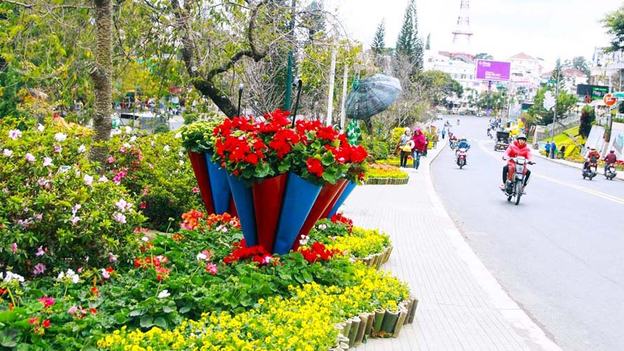 cho-hoa-da-lat-o-dau.jpg