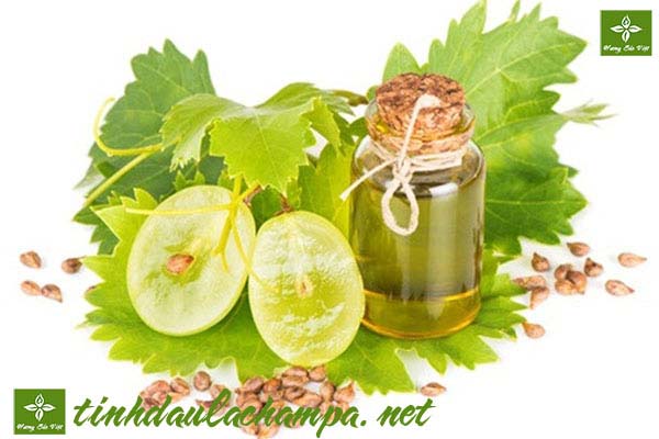dung-dau-hat-nho-tay-trang.jpg
