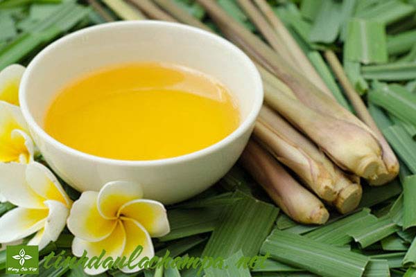cac-cong-dung-cua-tinh-dau-sa.jpg