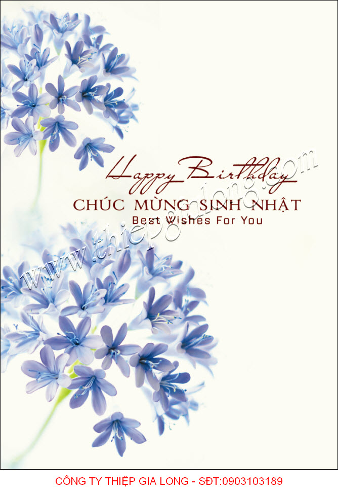thiep-sinh-nhat-%2006%283%29.jpg