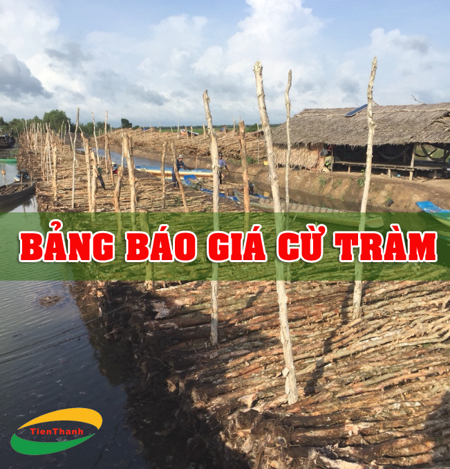 BAO-GIA-1.png
