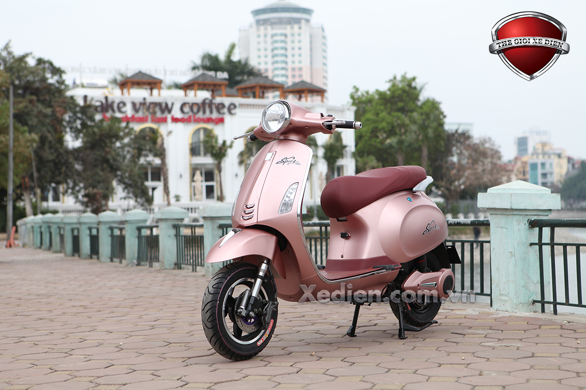 xe-dien-vespas-dibao-1.jpg