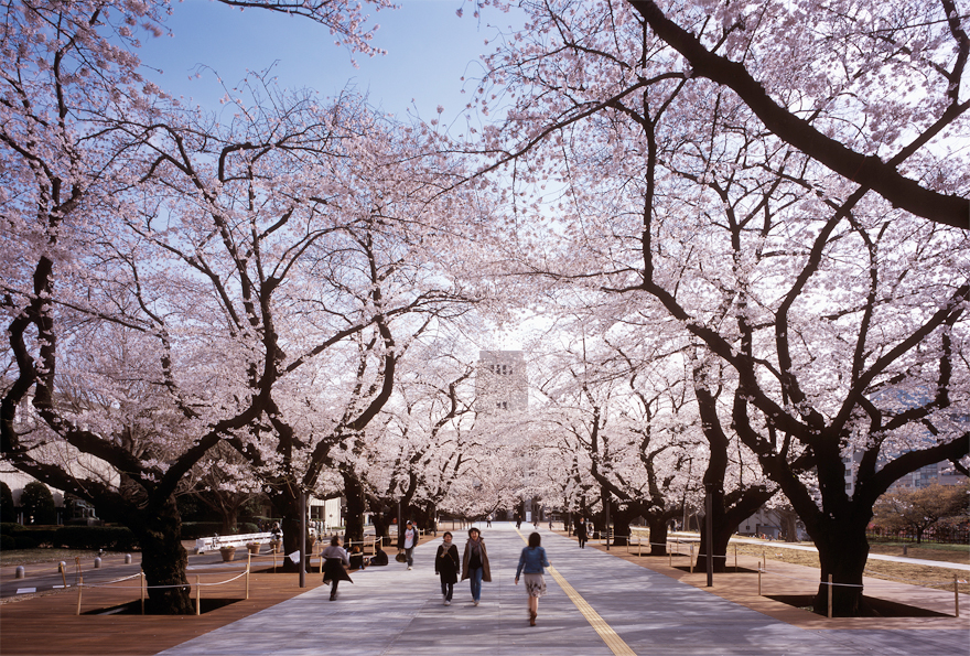VIEN%20CONG%20NGHE%20TOKYO.jpg