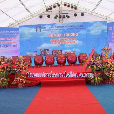 tham-do-trai-loi-di-380x380.jpg