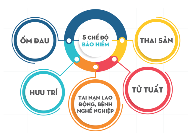 che-do-bao-hiem-xa-hoi.png