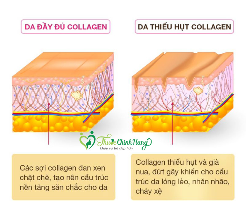 do tuoi nao can bo sung collagen