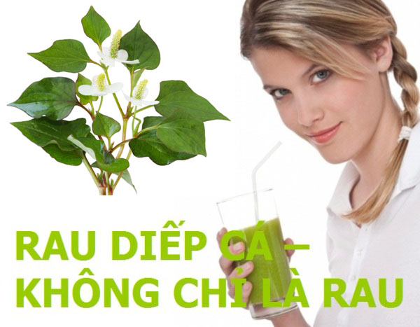 cach-chua-benh-tri-ngoai-bang-rau-diep-ca.jpg