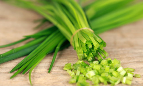 10-loi-ich-suc-khoe-tuyet-voi-cua-la-he.jpg